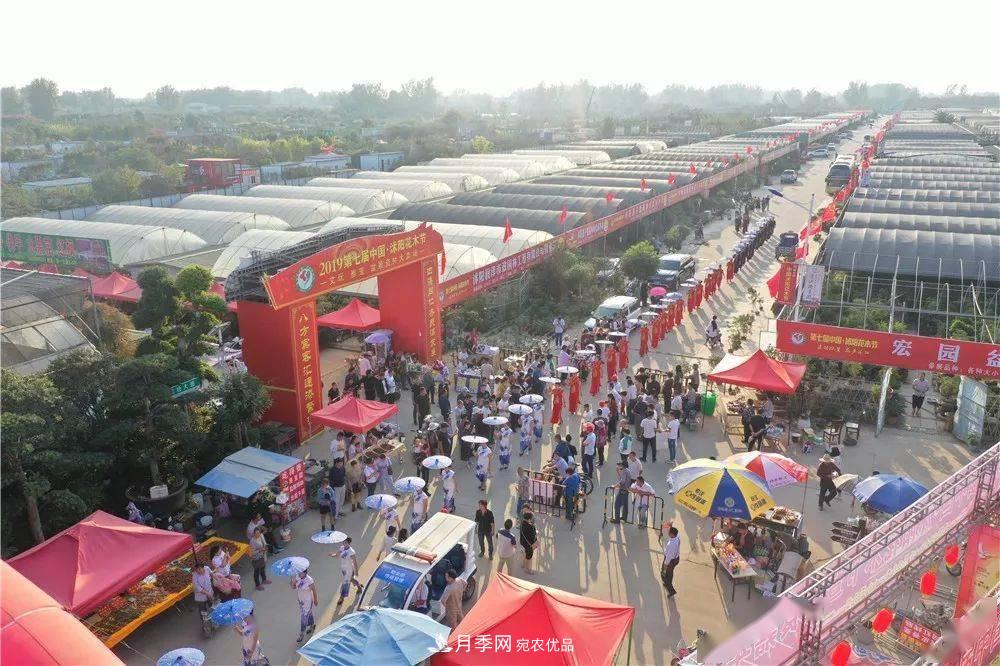 花木盛會(huì )，2020第八屆中國?沭陽(yáng)花木節將于9月29日開(kāi)幕！誠邀您大駕光臨！(圖13)