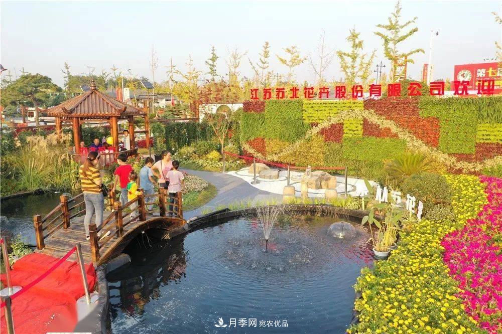 花木盛會(huì )，2020第八屆中國?沭陽(yáng)花木節將于9月29日開(kāi)幕！誠邀您大駕光臨！(圖14)