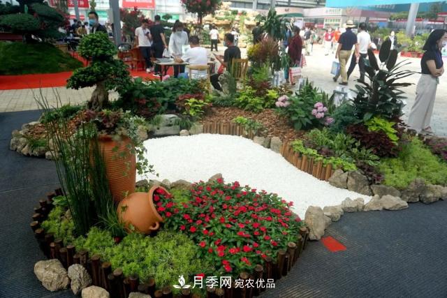 焦“綠”的苗木人，在山東昌邑園林花木會(huì )展上收獲了什么(圖1)
