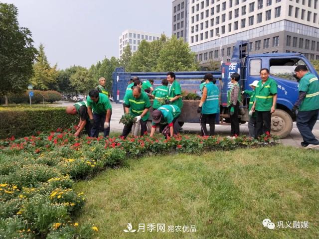 美！6萬(wàn)盆景觀(guān)花卉扮靚鄭州鞏義城區(圖2)