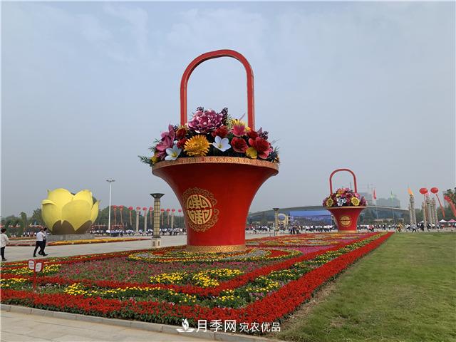河南中原花木交易博覽會(huì ) 鄢陵云上花博會(huì )帶您云賞花(圖1)