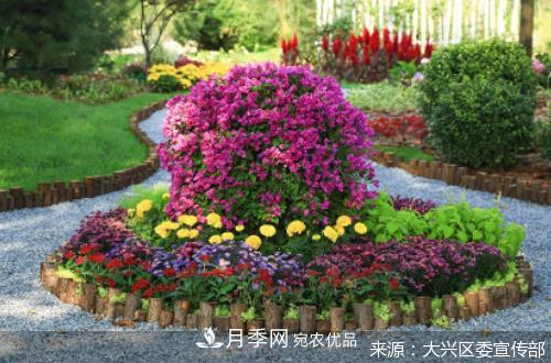 2020年北京市“職工技協(xié)杯”市花月季主題花園網(wǎng)絡(luò )設計大賽及造園大賽收官(圖1)
