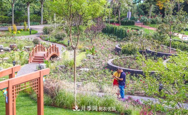 北京大興納波灣月季園新增33個(gè)主題園(相冊)(圖3)