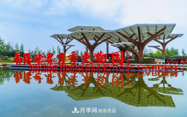 南陽(yáng)世界月季大觀(guān)園關(guān)于發(fā)行年票的公告(圖1)