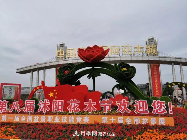 第八屆中國·沭陽(yáng)花木節開(kāi)幕，參觀(guān)盆景界的“奧林匹克”(圖1)