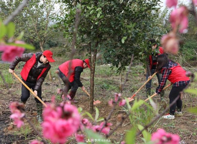北方地區能在十月份能種植苗木嗎？需因地制宜進(jìn)行選擇(圖2)