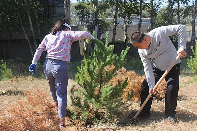 北方地區能在十月份能種植苗木嗎？需因地制宜進(jìn)行選擇(圖3)