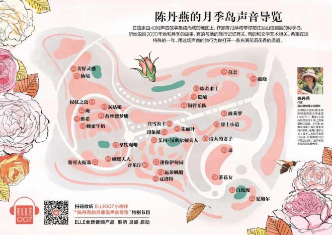 陳丹燕：不能旅行的日子，她開(kāi)始與月季對話(huà)(圖15)
