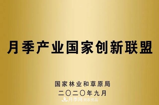月季產(chǎn)業(yè)國家創(chuàng  )新聯(lián)盟成立大會(huì )在安徽阜陽(yáng)召開(kāi)(圖5)