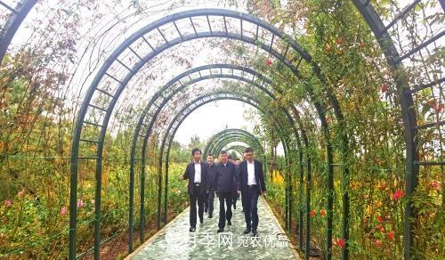 紀念南水北調南陽(yáng)深厚友誼，北京京宛友誼月季園開(kāi)園(圖2)