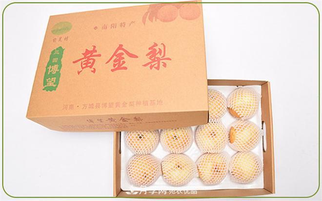 南陽(yáng)特產(chǎn)：方城縣博望黃金梨(圖4)
