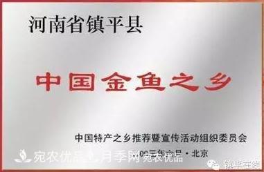 南陽(yáng)鎮平：中國金魚(yú)之鄉，中國錦鯉之鄉的觀(guān)賞魚(yú)養殖產(chǎn)業(yè)(圖2)