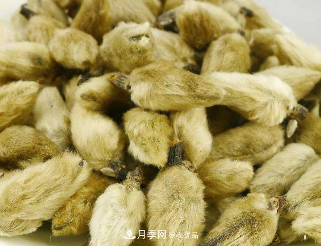 南陽(yáng)市創(chuàng  )建中藥材種植示范基地(圖2)