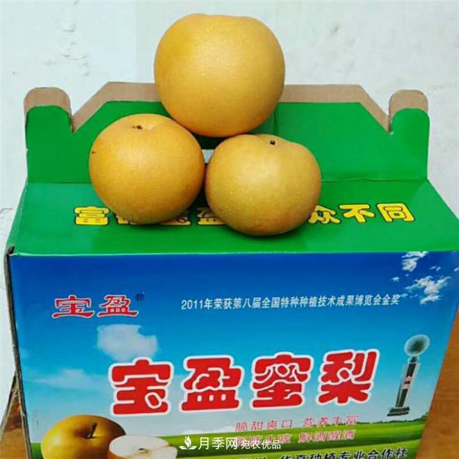 南水北調有機寶盈蜜梨，南陽(yáng)淅川特產(chǎn)水果批發(fā)(圖3)