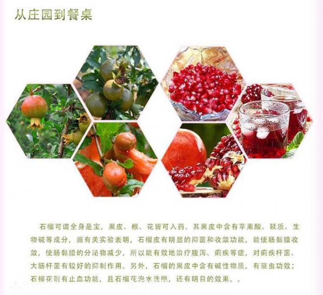 淅川突尼斯軟籽石榴基地批發(fā)價(jià)格，好水果(圖2)