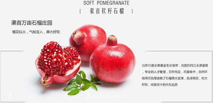淅川突尼斯軟籽石榴基地批發(fā)價(jià)格，好水果(圖3)
