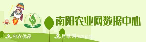 南陽(yáng)農業(yè)數據中心(圖1)