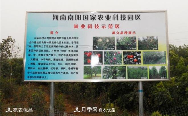 南陽(yáng)國家農業(yè)科技園區(圖1)