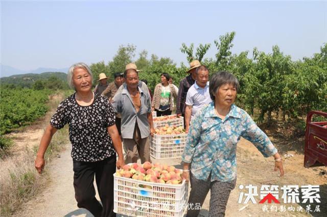 南陽(yáng)市南召縣南河店鎮 培育綠色農業(yè)產(chǎn)業(yè)共享生態(tài)紅利(圖2)