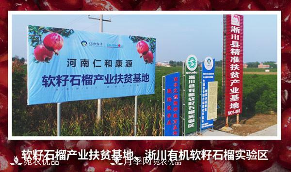 南陽(yáng)特產(chǎn)：淅川軟籽石榴(圖4)