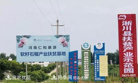 淅川縣九重鎮：軟籽石榴特色林果產(chǎn)業(yè)助脫貧(圖1)