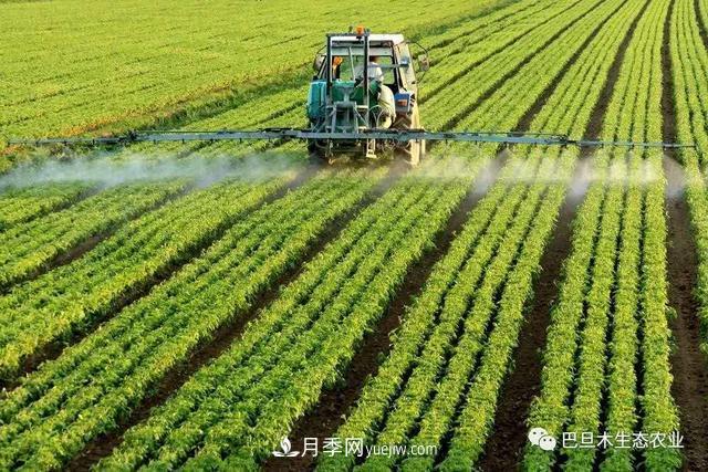 巴旦木生態(tài)農業(yè)：河南三門(mén)峽為什么適合種植巴旦木？(圖1)