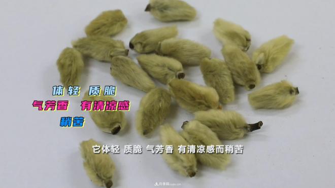 公園里種的玉蘭也是一味藥材，是真的嗎？(圖5)