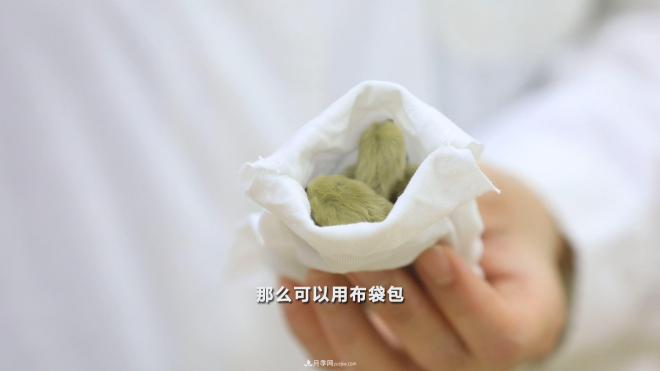 公園里種的玉蘭也是一味藥材，是真的嗎？(圖7)