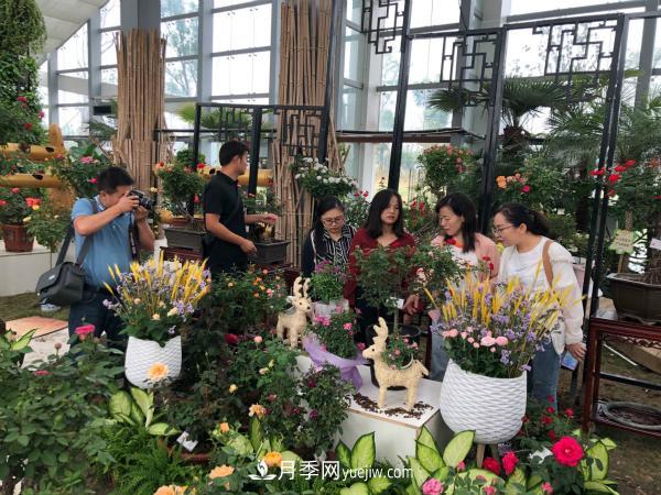 第十屆中國月季展覽會(huì )南陽(yáng)市榮獲獎項40余項(圖1)