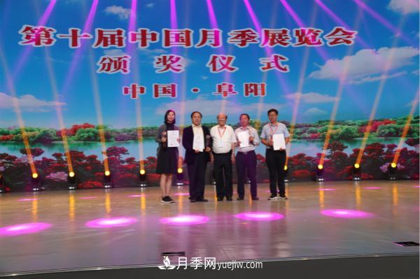 第十屆中國月季展覽會(huì )南陽(yáng)市榮獲獎項40余項(圖3)