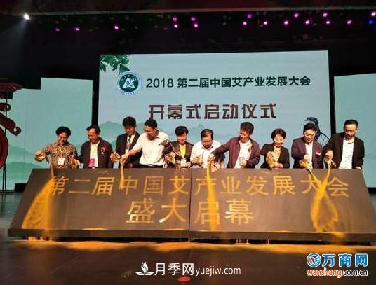 2018第二屆中國艾產(chǎn)業(yè)發(fā)展大會(huì )在南陽(yáng)成功舉辦(圖2)