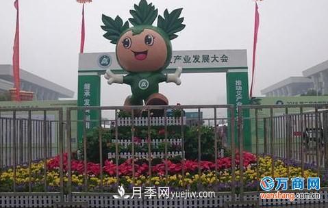 2018第二屆中國艾產(chǎn)業(yè)發(fā)展大會(huì )在南陽(yáng)成功舉辦(圖3)