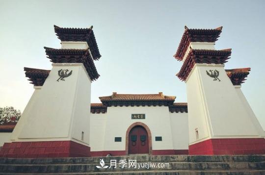 南陽(yáng)打造中醫圣地 叫響仲景中醫藥品牌(圖1)