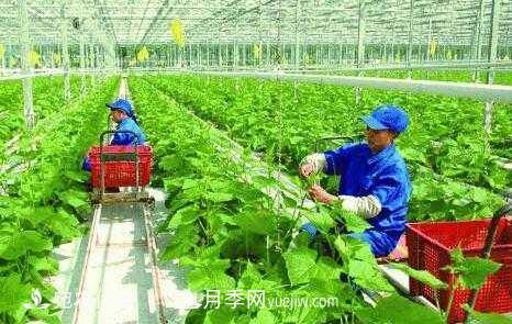 南陽(yáng)有機農業(yè)全國**是怎樣煉成的？南水北調水源地生態(tài)農業(yè)見(jiàn)聞(圖1)