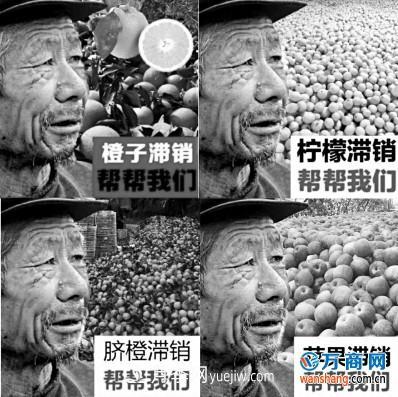 網(wǎng)售滯銷(xiāo)農產(chǎn)品只有四成是真的(圖1)