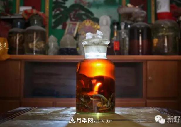 南陽(yáng)市新野縣沙堰鎮朱令善 養蛇走上富裕路(圖2)