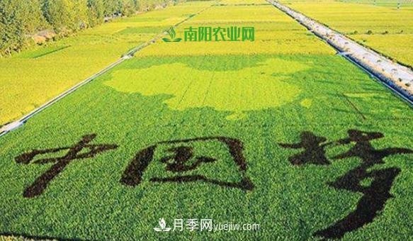 南陽(yáng)2019年農業(yè)十佳產(chǎn)業(yè)基地和扶貧電商都有誰(shuí)？(圖1)