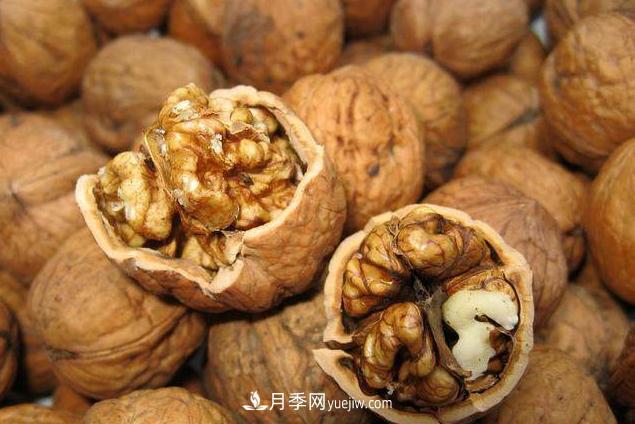 來(lái)南陽(yáng)旅游有什么不得不帶走的十大名優(yōu)特產(chǎn)？(圖5)