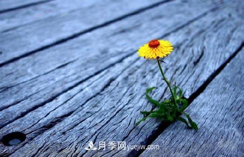 有一種努力叫：以為自己很努力，原來(lái)是在刷存在感(圖1)