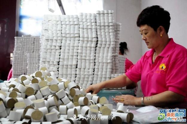 南陽(yáng)市臥龍區電商助艾草產(chǎn)業(yè)走向世界(圖1)
