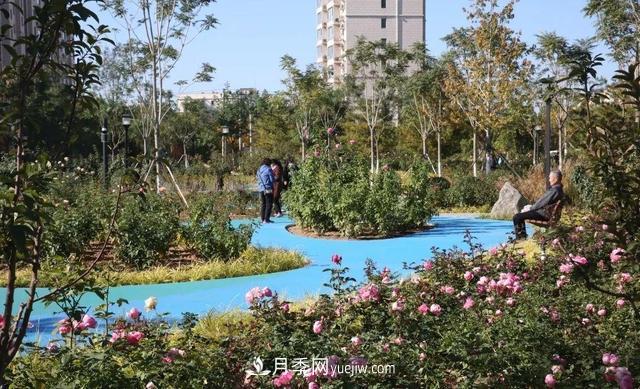 北京密云城區這片廢棄廠(chǎng)房“變身”月季公園(圖1)
