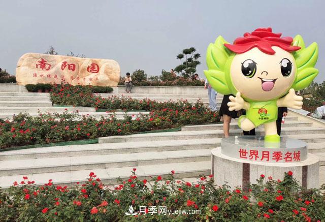 退林還耕政策下不要慌，南陽(yáng)苗木人需要做好這三件事(圖1)