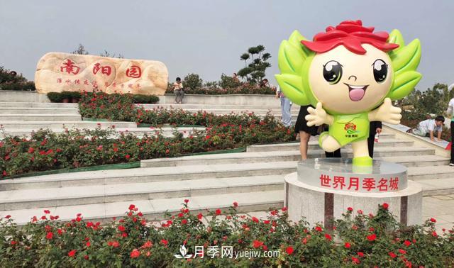 南陽(yáng)月季香飄九洲，南陽(yáng)市臥龍區月季產(chǎn)業(yè)發(fā)展綜述(圖1)