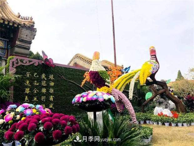 開(kāi)封第38屆菊花文化節盛大開(kāi)幕美圖來(lái)襲(圖2)