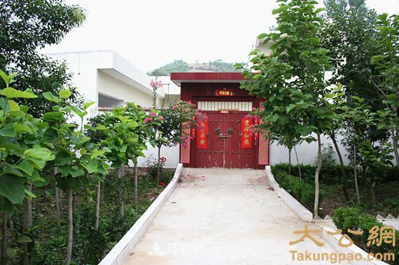 南陽(yáng)南召：玉蘭苗木產(chǎn)業(yè) 飄香名揚天下(圖5)