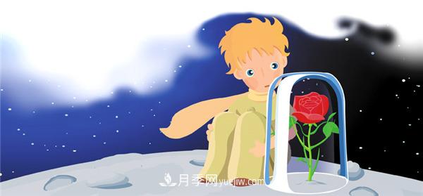 月季花的傳說(shuō)(圖2)