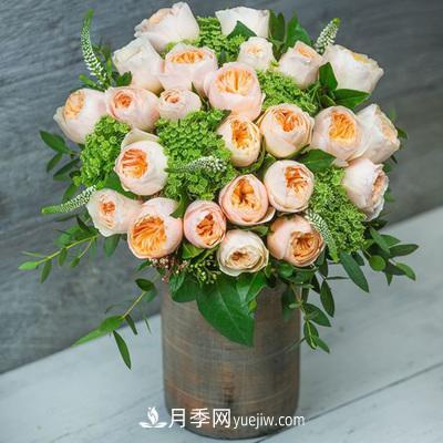 切花月季的十個(gè)養護技巧，全了(圖1)