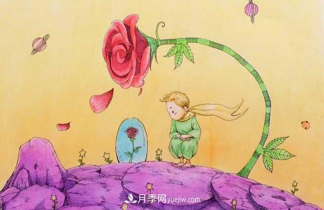 小王子愛(ài)的是“月季花”？(圖3)