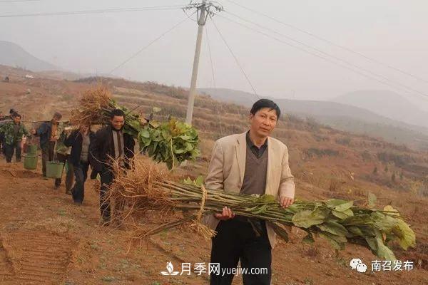 南召縣邱峰：玉蘭苗木脫貧攻堅戰場(chǎng)上“***可愛(ài)的人”(圖1)