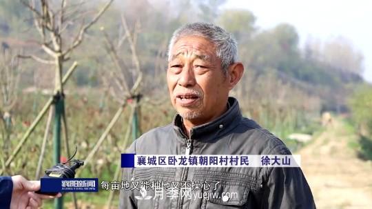 襄陽(yáng)發(fā)揚五中全會(huì )精神 發(fā)展月季產(chǎn)業(yè)花開(kāi)幸福來(lái)(圖4)